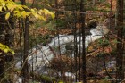NH (10).JPG
